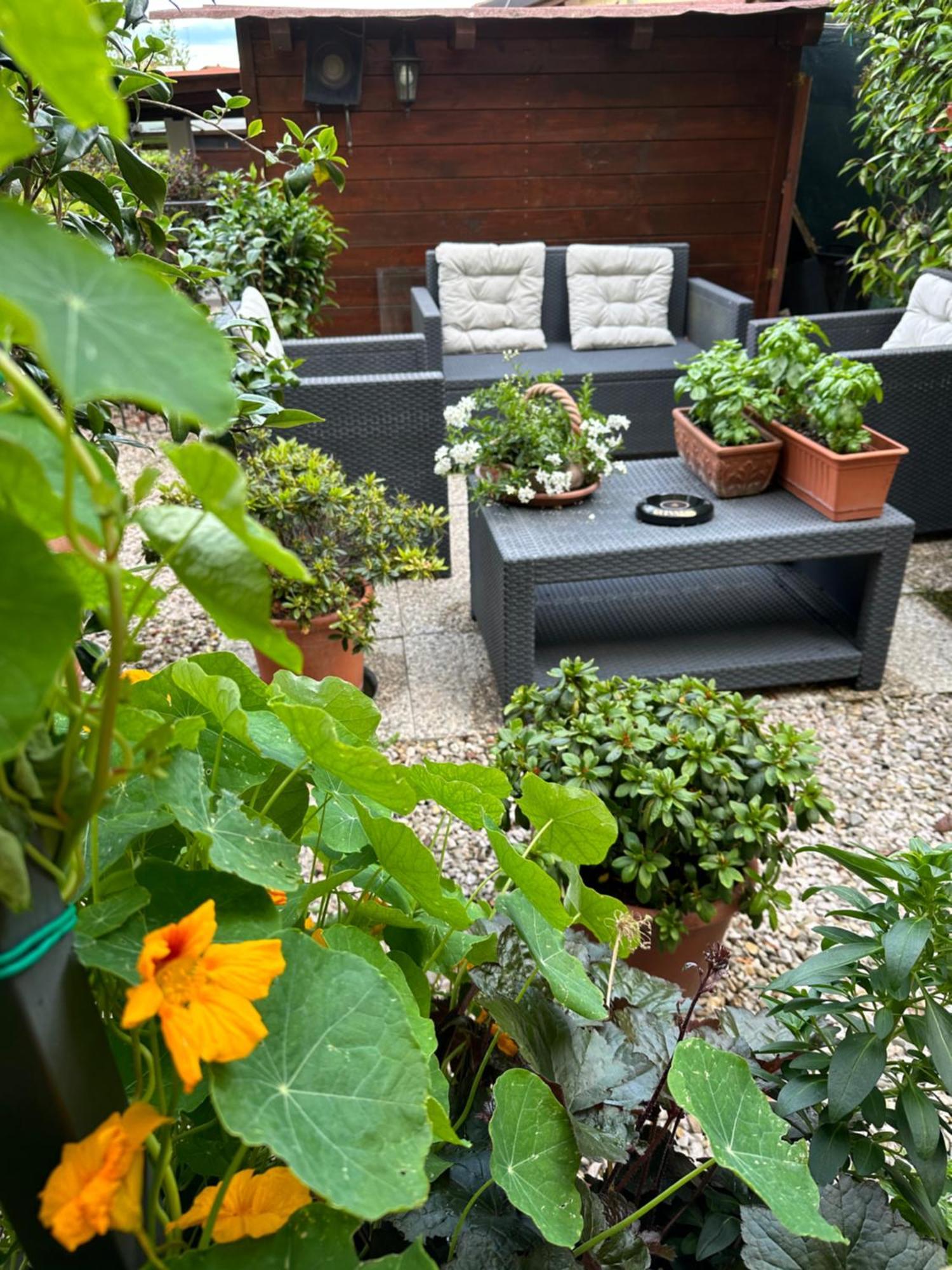 Ortignano Raggiolo Villa "Corte De' Baldi" מראה חיצוני תמונה